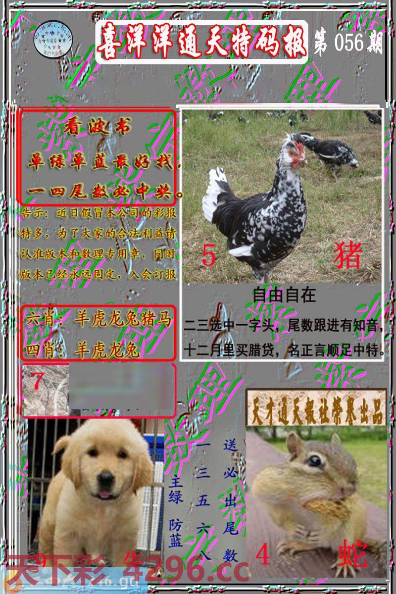 ：洋通报